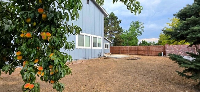 Building Photo - Spacious 4BR3BA House in Aurora