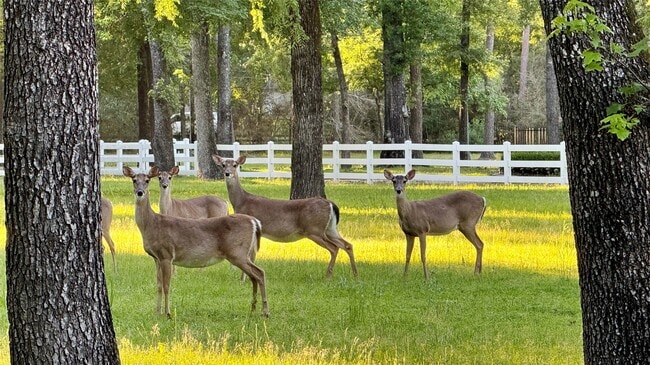 Building Photo - 15216 Saddlewood Dr