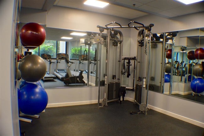 Gym 2 - 45 River Dr S