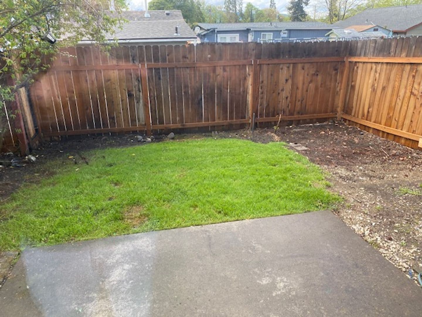 Backyard - 329 Bessie St