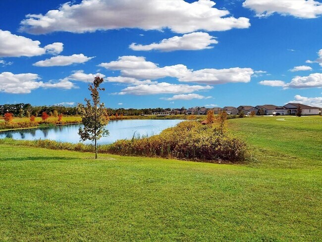 Building Photo - 3493 Chinotto Dr