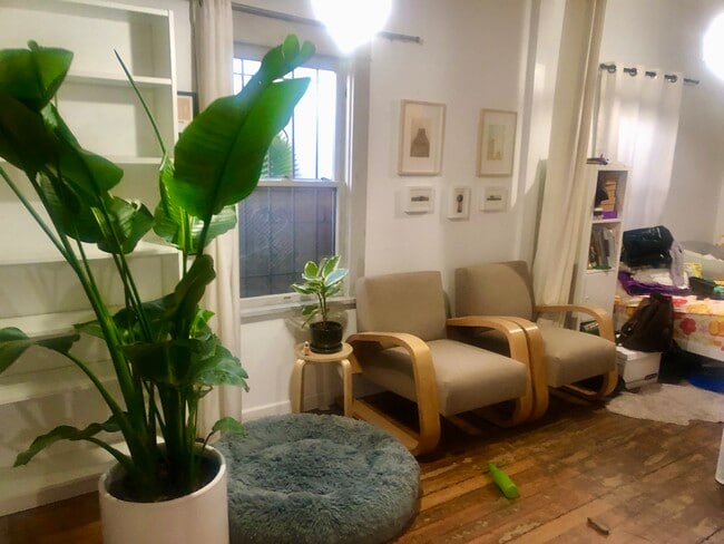 Living room area - 804 Venice Blvd