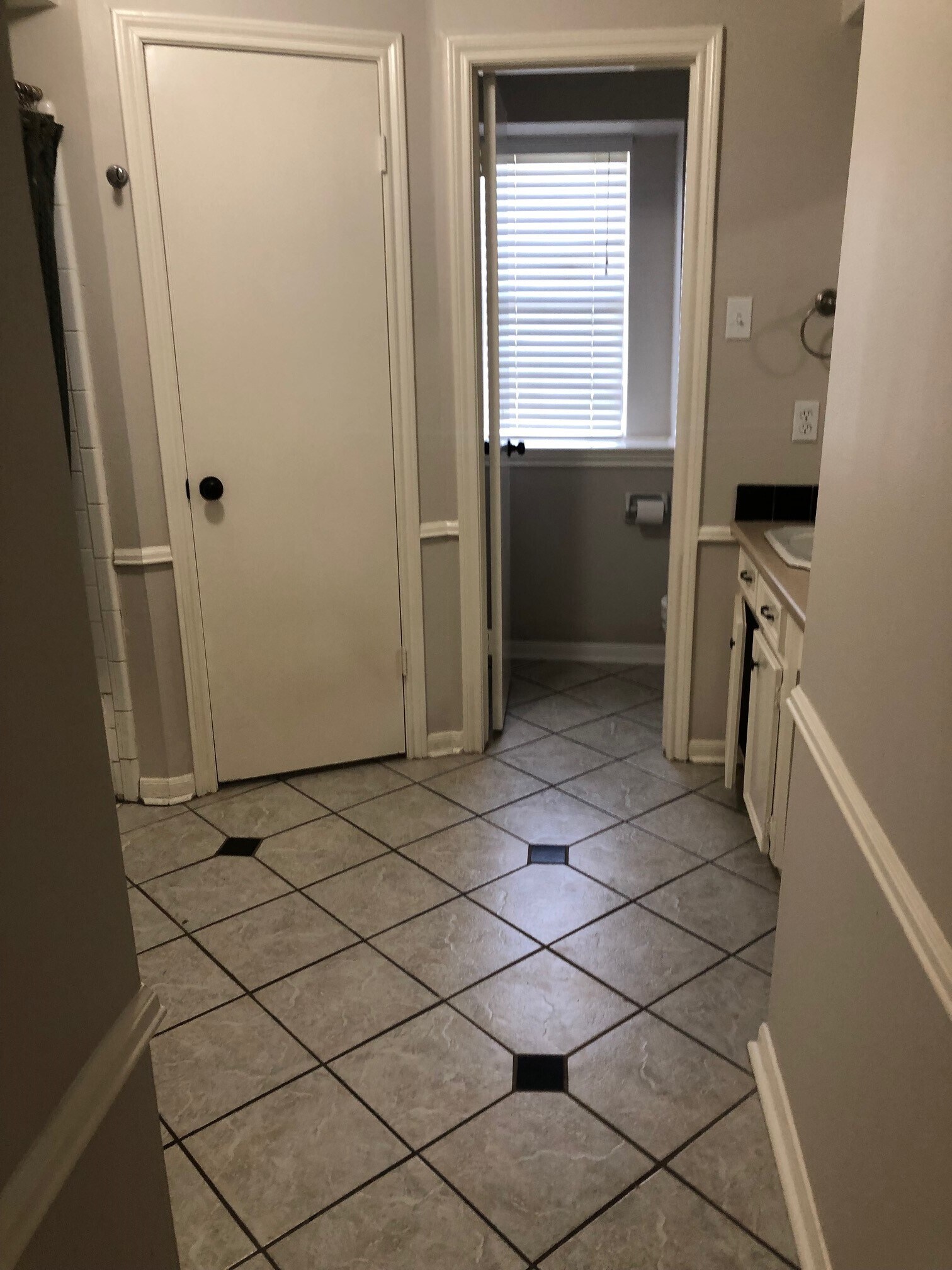 Master Bathroom - 10019 Golden Sunshine Dr