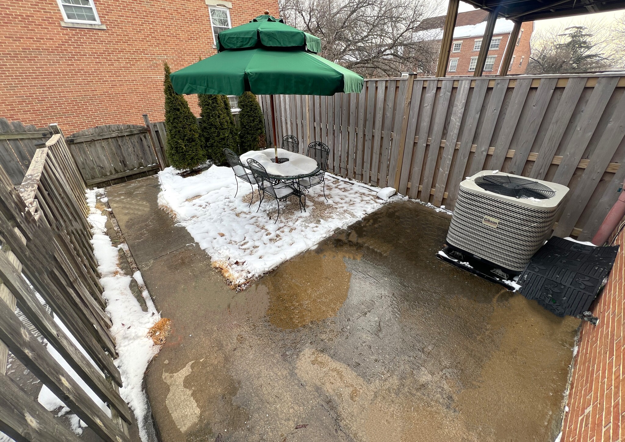 Backyard - 105 N Ann St