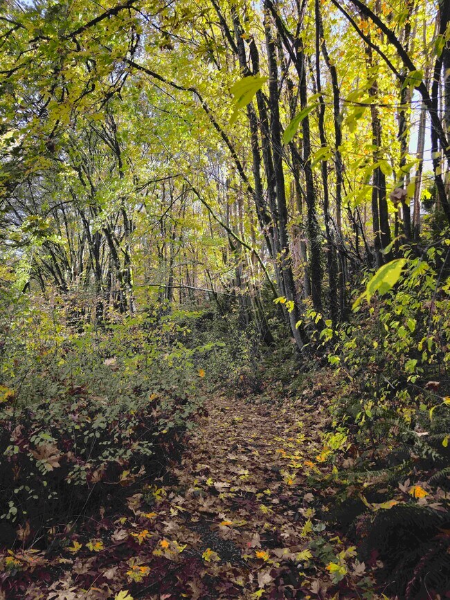 forest trails minutes away - 2109 31st Ave S