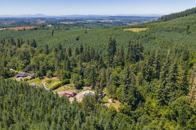 Building Photo - Rare Home on Creek Front Property!