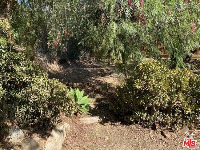 Building Photo - 2442 Old Topanga Canyon Rd