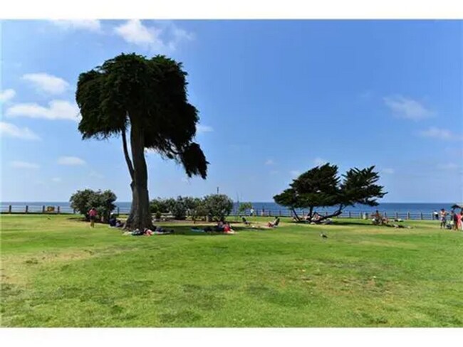 Building Photo - 1249 Torrey Pines Rd