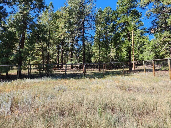 Building Photo - Awesome home in Paradise hills_Backing Buf...