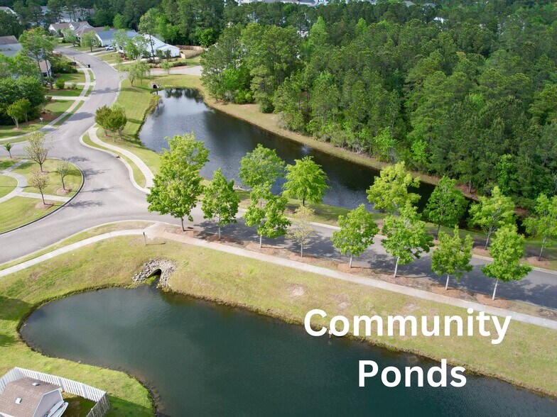 Building Photo - 213 Red Carnation Dr