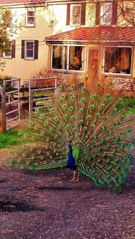 Building Photo - 1310 Hollow Rd