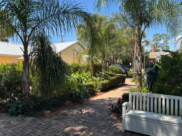 Landscaped garden courtyard - 714 Spring St