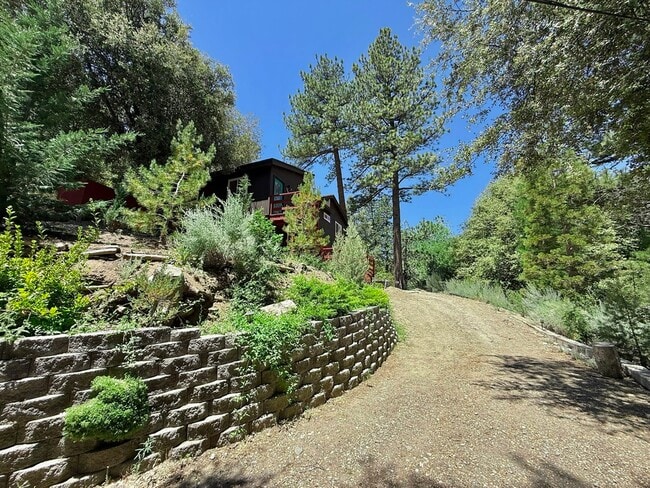 Building Photo - 2608 Basil Ct