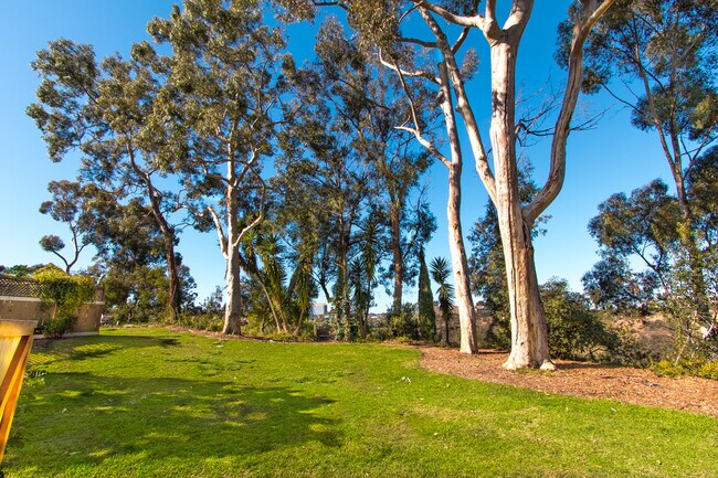 Building Photo - Elegantly Upgraded 2 Bed/1 Bath Condo in UTC with Private Patio/Washer & Dryer!