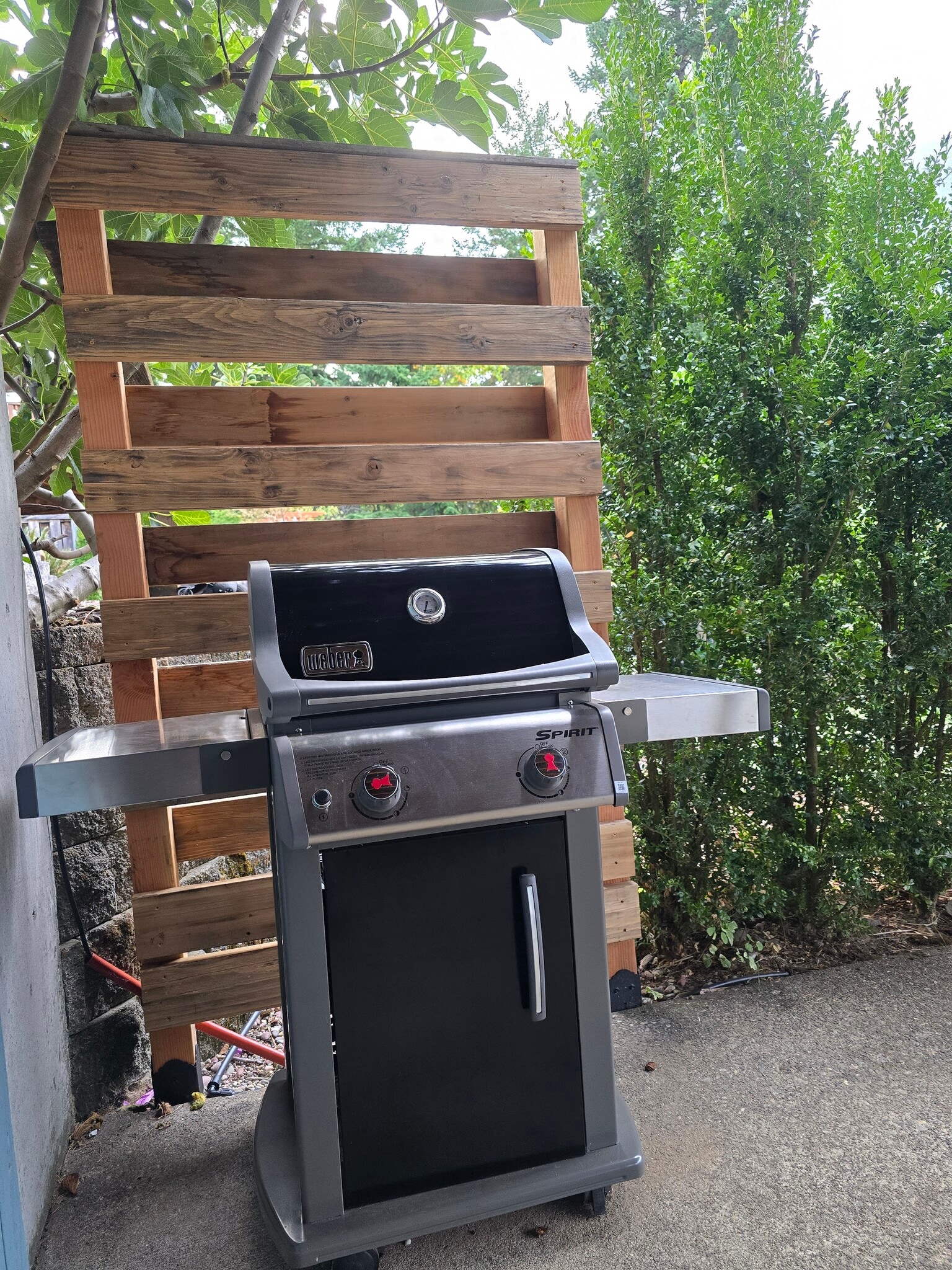 Outdoor Gas BBQ - 320 NE Wisteria Way