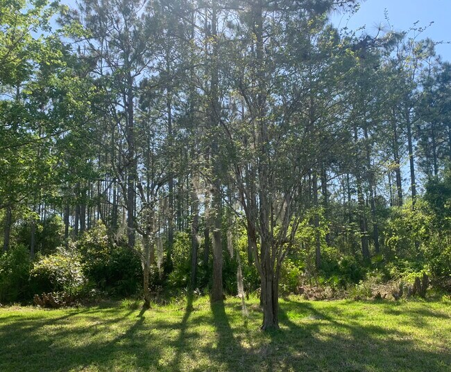 Building Photo - 61 Ebb Tide Dr