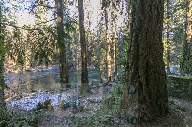 Building Photo - Rustic Riverfront Cottage Available For Rent! - Battle Ground, WA