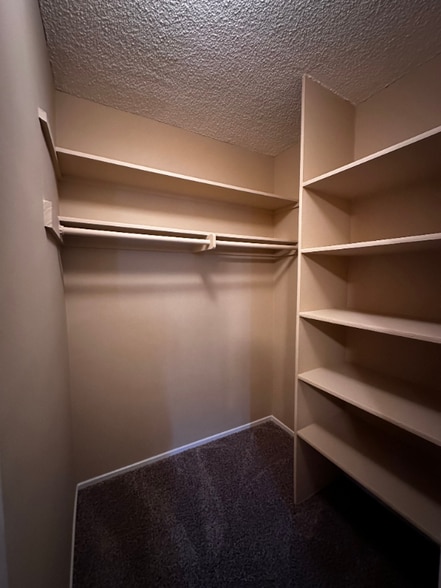 Building Photo - 1202 Mayflower Ave