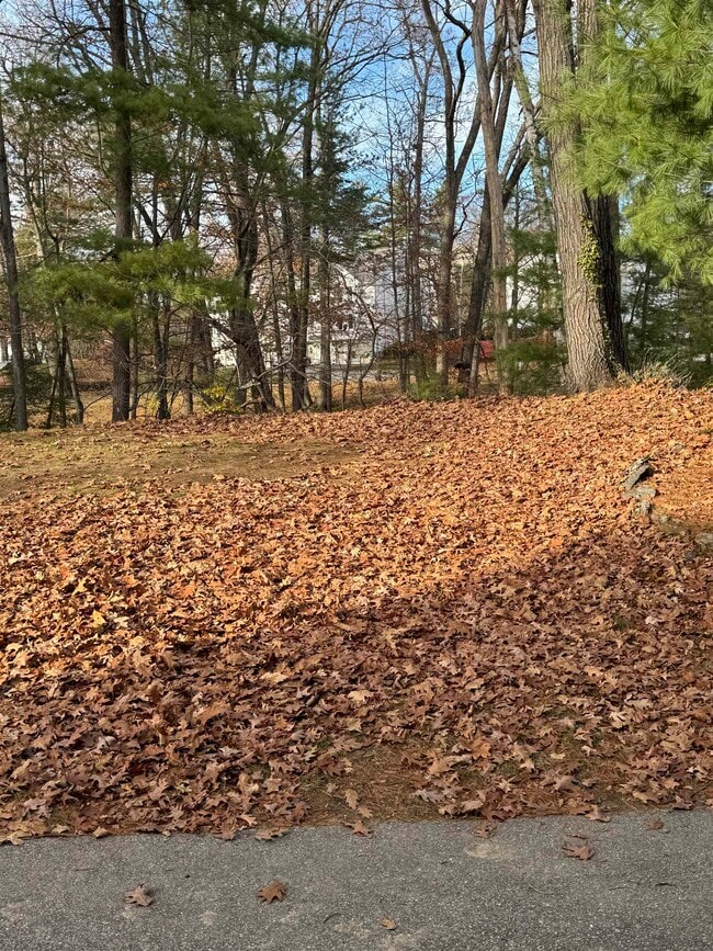 Building Photo - 16 Highbridge Hill Rd