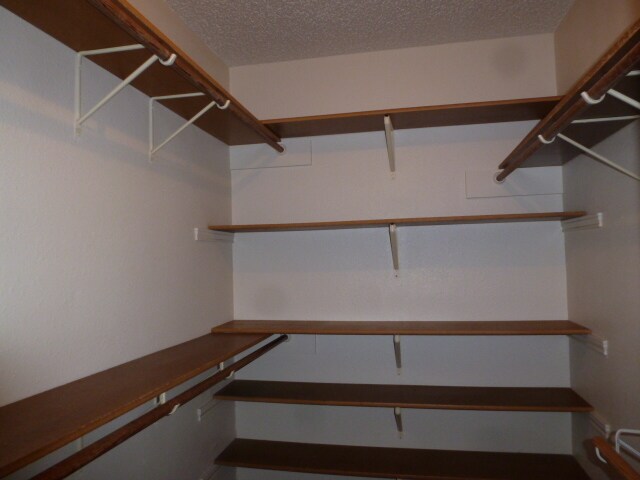 Building Photo - 2008 Antelope Trail