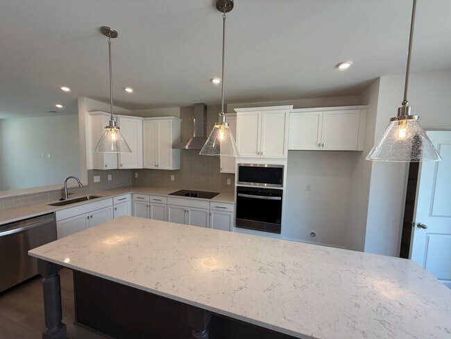 Building Photo - Brand New Townhome in Ballantyne!!