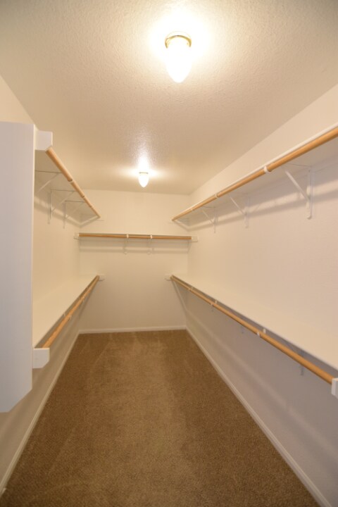 Building Photo - 2200 Riley Dr