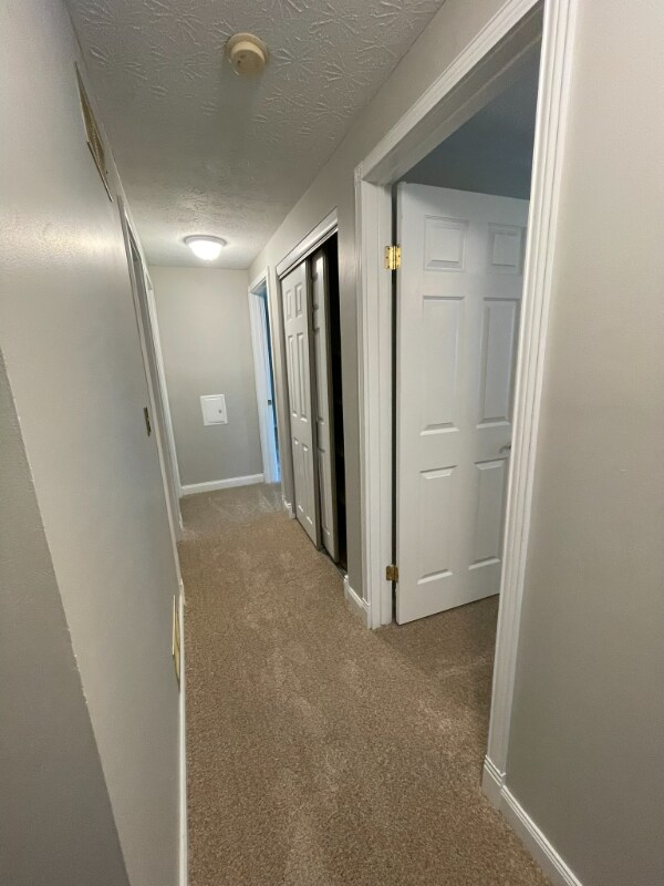 Building Photo - 3211 Creston Ct