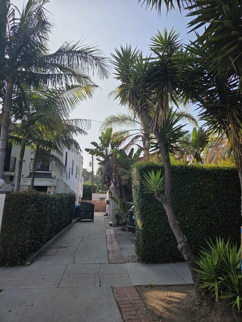 Driveway - 1009 Havenhurst Dr