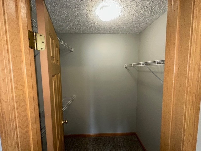 Building Photo - 771 Kollines Ct