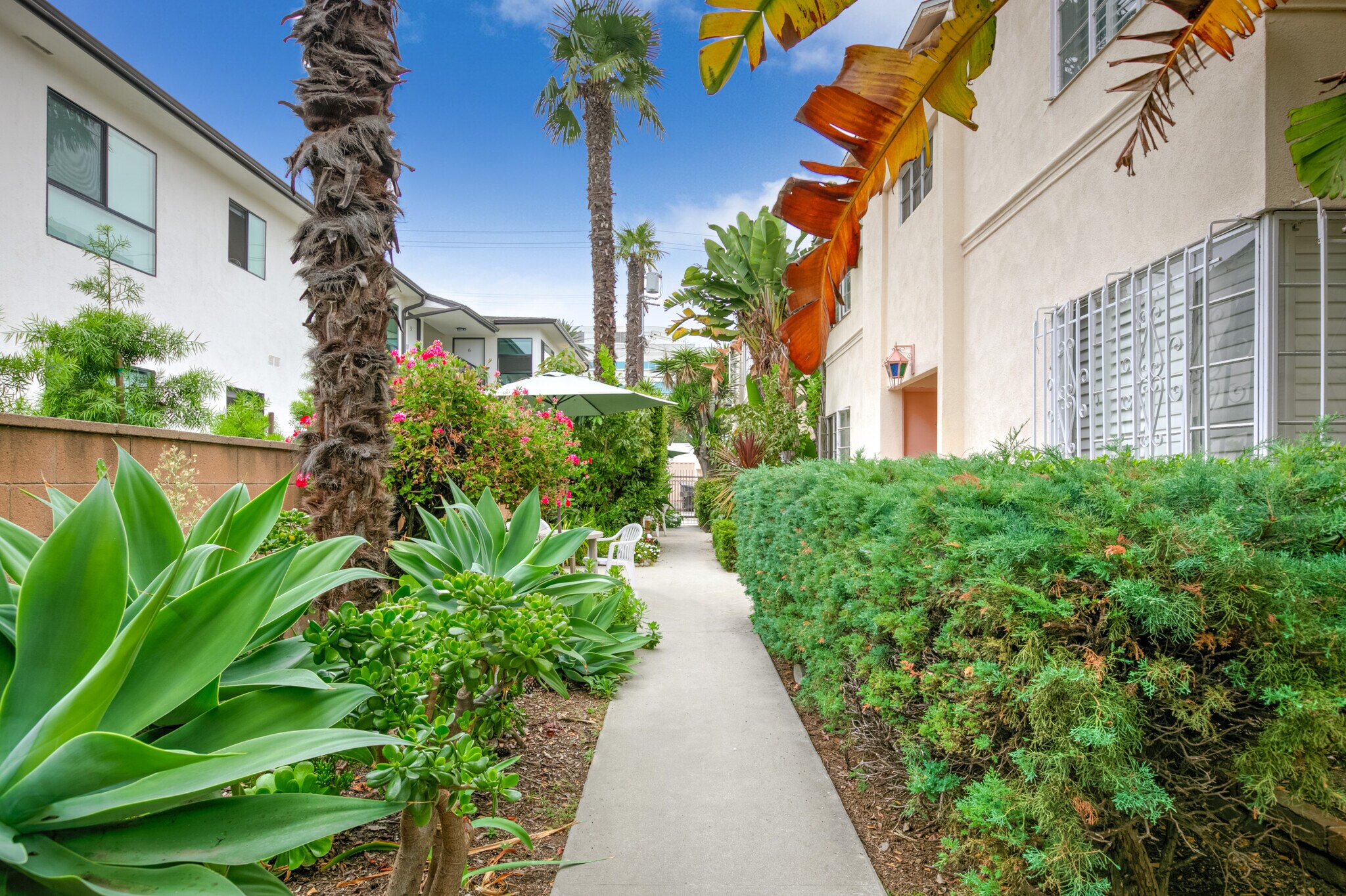 Courtyard with Close walk to Trader Joes ,Whole Foods - 1317 19th St