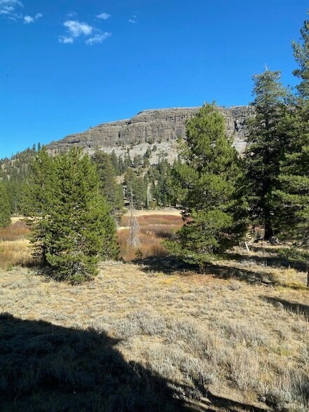 Building Photo - 33856 Hawkweed Way