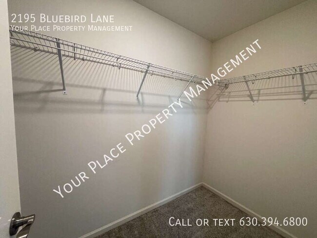 Building Photo - 2195 Bluebird Ln