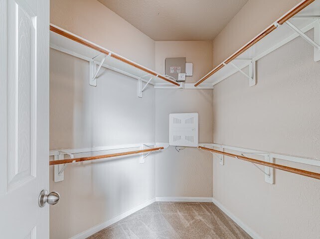 Building Photo - 7303 Enchanted Rock Ln