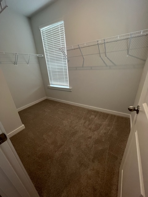 Building Photo - 119 Summer Tanager Dr