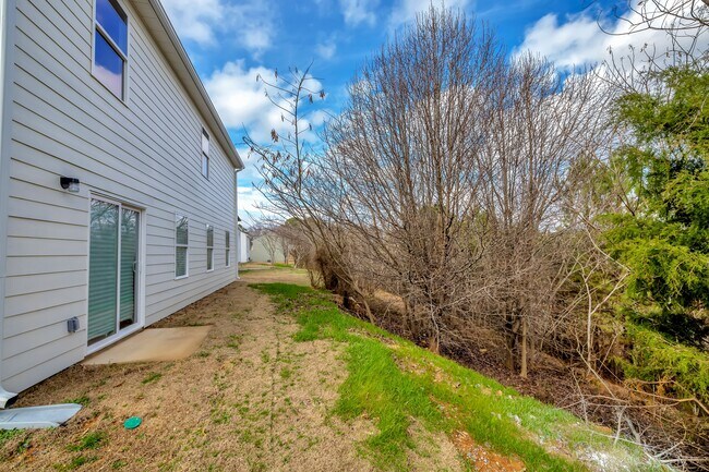 Back yard - 1519 Hollins Dr