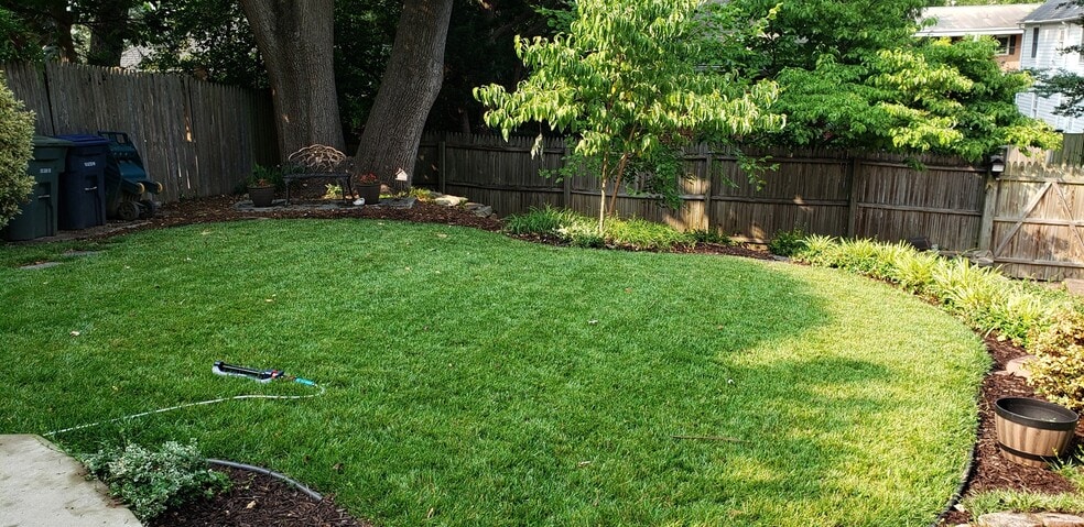 Backyard lawn area - 4633 Clark Pl NW