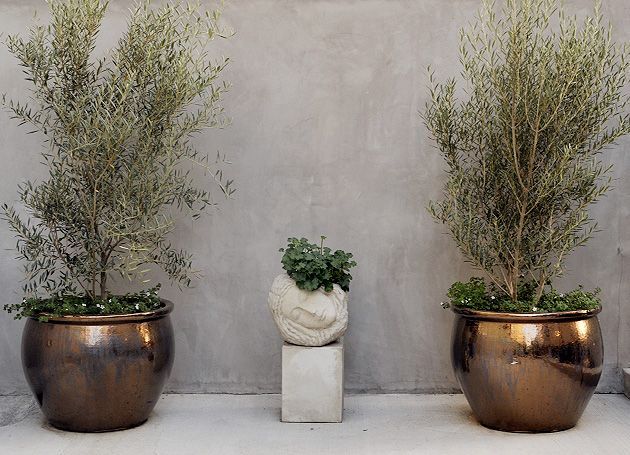 Building Photo - 1117 Cochran Ave