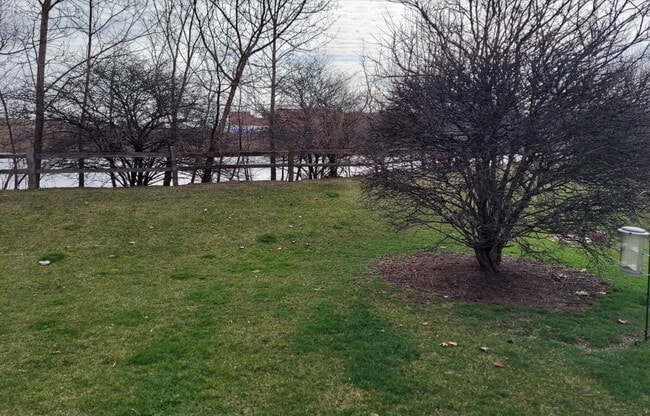 Building Photo - 1455 Millbrook Dr