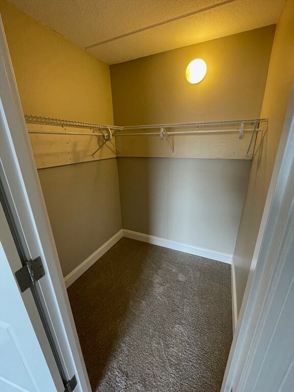 Building Photo - 59 Cambridge Rd