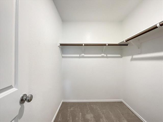 Building Photo - 3316 Turkey Trot Ln