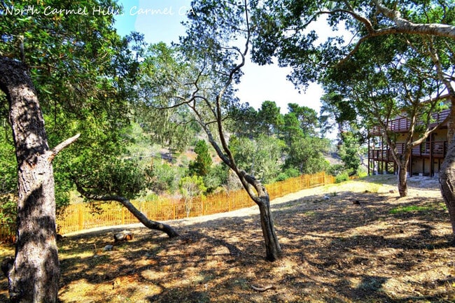 Building Photo - 24971 N Carmel Hills Dr
