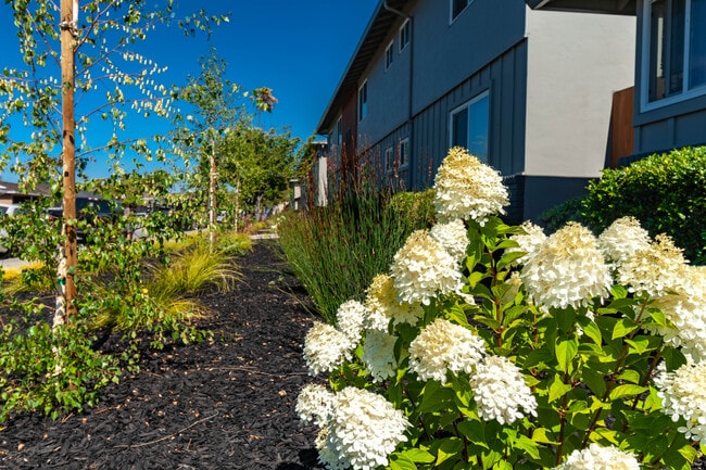 Building Photo - 2144 Royal Dr