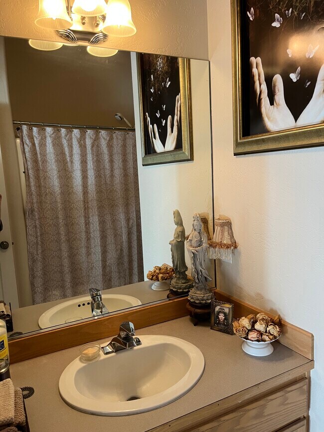 Front bathroom - 3685 Colony Oaks Dr