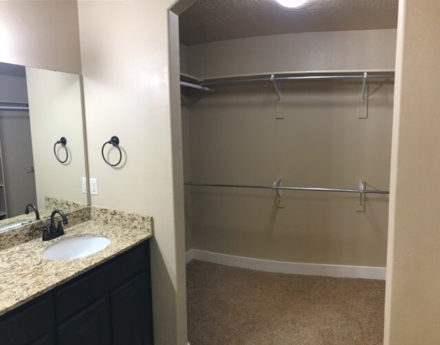 Master bedroom walk-in closet - 103 W Canley Vale Ln