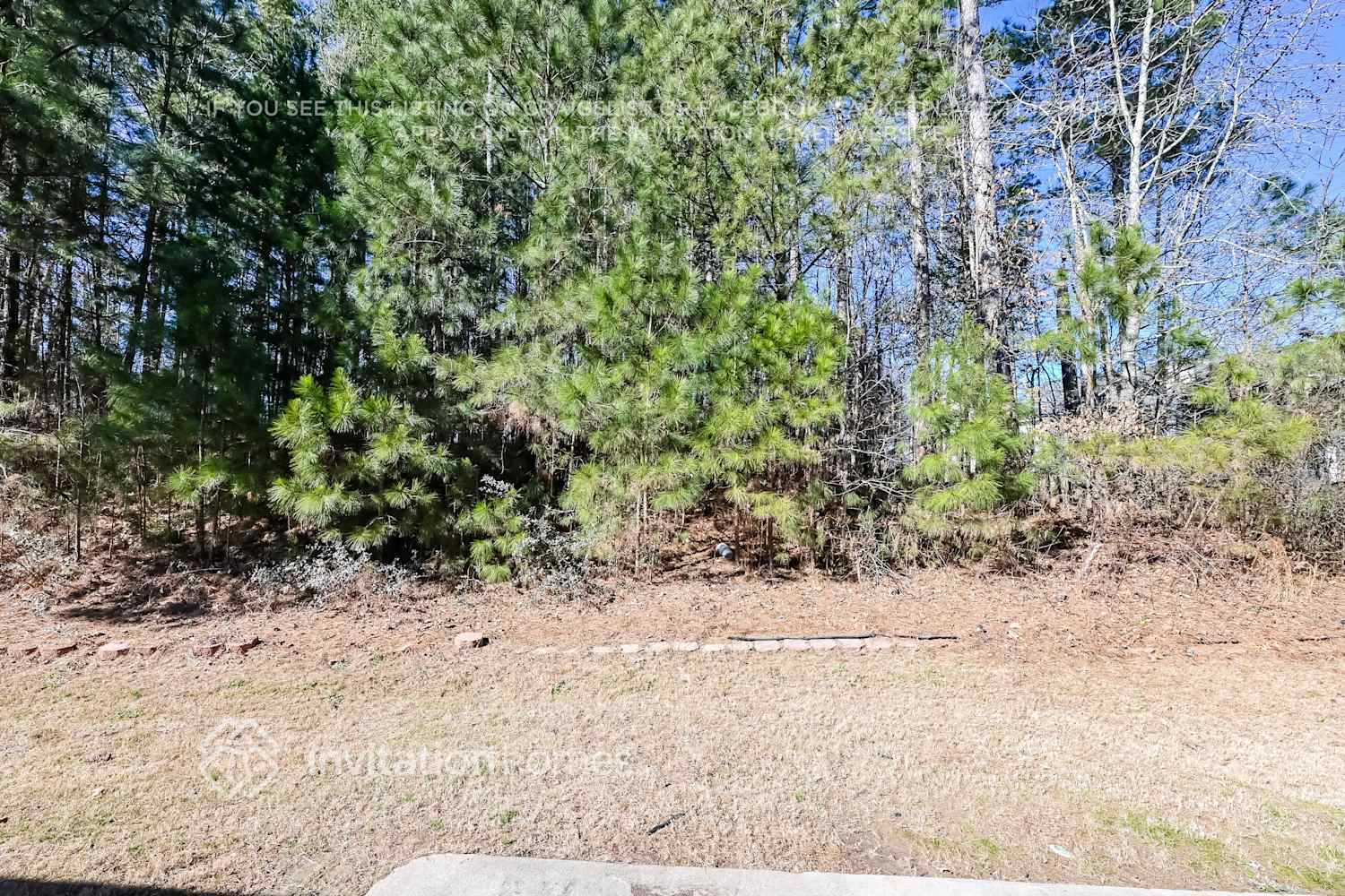 Building Photo - 4104 Roslindale Ln