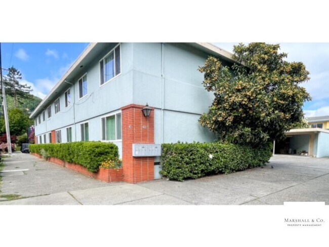 Building Photo - NEW LISTING! Walk 1 Block To Downtown! Sec. Deposit lowered! LG. 1 BR/1BA, Hdwd Flrs,Big Walk-In Clo