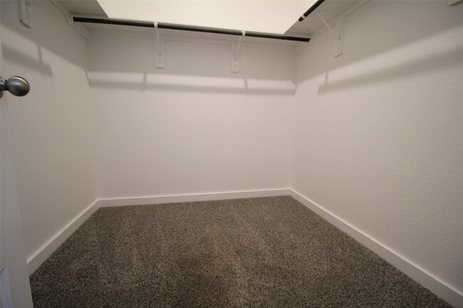 Building Photo - 25504 Starling Ln