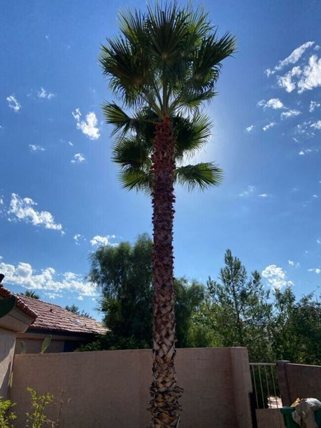 Building Photo - 5249 N Adobe Cir