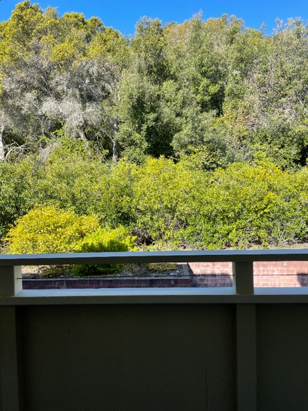 Building Photo - 3224 Palos Verdes Ct