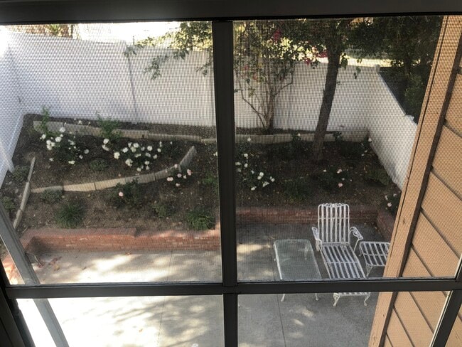 Intimate backyard - 20950 Oxnard St
